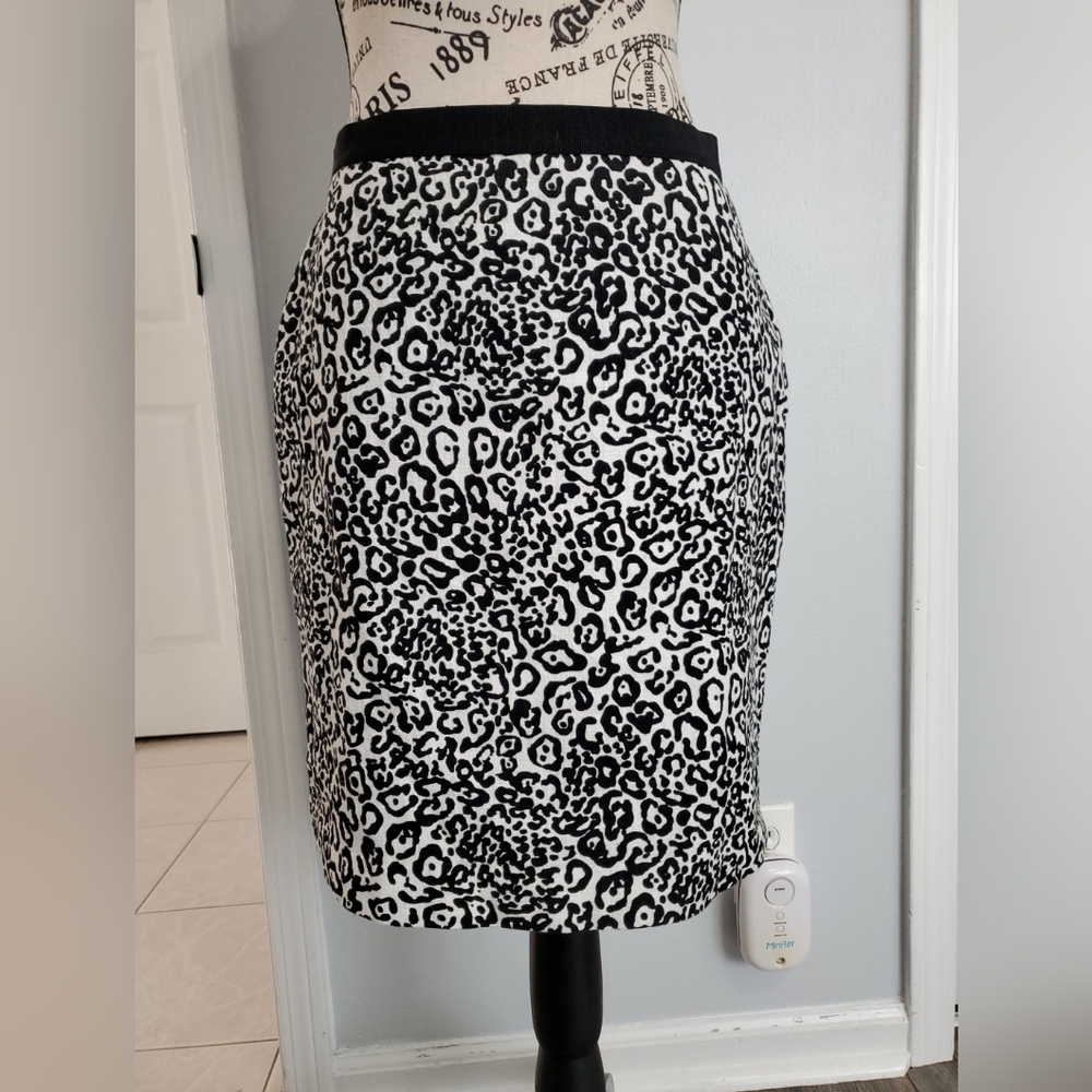 Ann Taylor Petite Skirt